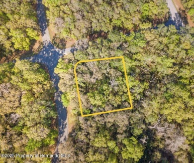 Are you looking for a RARE multi family lot? Look no further on Citrus Springs Country Club in Florida - for sale on GolfHomes.com, golf home, golf lot
