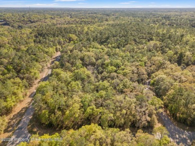 Are you looking for a RARE multi family lot? Look no further on Citrus Springs Country Club in Florida - for sale on GolfHomes.com, golf home, golf lot