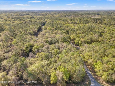 Are you looking for a RARE multi family lot? Look no further on Citrus Springs Country Club in Florida - for sale on GolfHomes.com, golf home, golf lot