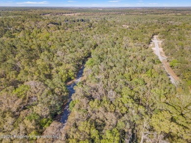Are you looking for a RARE multi family lot? Look no further on Citrus Springs Country Club in Florida - for sale on GolfHomes.com, golf home, golf lot
