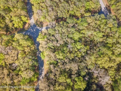 Are you looking for a RARE multi family lot? Look no further on Citrus Springs Country Club in Florida - for sale on GolfHomes.com, golf home, golf lot