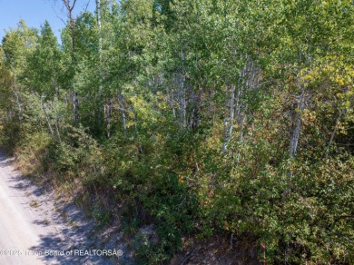 Gorgeous 1 acre treed lot in a very quiet spot in Star Valley on Star Valley RV Golf Course in Wyoming - for sale on GolfHomes.com, golf home, golf lot