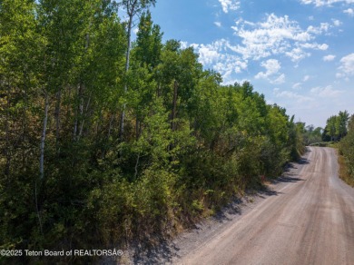Gorgeous 1 acre treed lot in a very quiet spot in Star Valley on Star Valley RV Golf Course in Wyoming - for sale on GolfHomes.com, golf home, golf lot