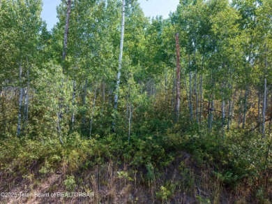 Gorgeous 1 acre treed lot in a very quiet spot in Star Valley on Star Valley RV Golf Course in Wyoming - for sale on GolfHomes.com, golf home, golf lot
