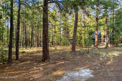 Nice level, buildable lot with lots of pine trees in the Pinetop on Pinetop Lakes Country Club in Arizona - for sale on GolfHomes.com, golf home, golf lot