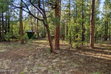 Nice level, buildable lot with lots of pine trees in the Pinetop on Pinetop Lakes Country Club in Arizona - for sale on GolfHomes.com, golf home, golf lot