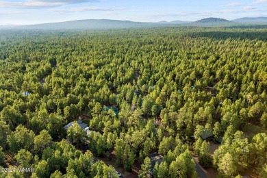 Nice level, buildable lot with lots of pine trees in the Pinetop on Pinetop Lakes Country Club in Arizona - for sale on GolfHomes.com, golf home, golf lot