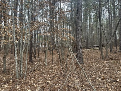 Very Flat and Level Lot in the Shenandoah Section of the on Monticello Golf Club At Savannah Lakes in South Carolina - for sale on GolfHomes.com, golf home, golf lot