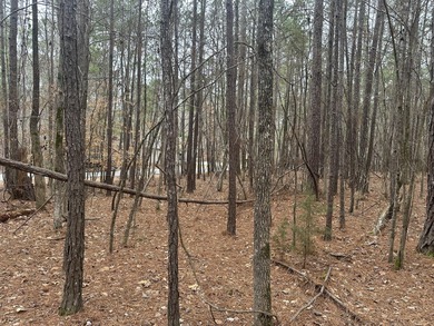 Very Flat and Level Lot in the Shenandoah Section of the on Monticello Golf Club At Savannah Lakes in South Carolina - for sale on GolfHomes.com, golf home, golf lot