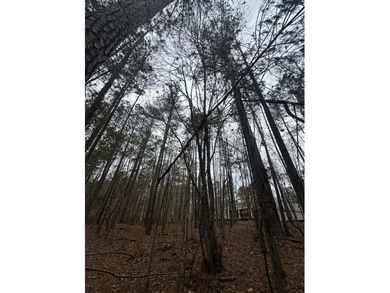 Very Flat and Level Lot in the Shenandoah Section of the on Monticello Golf Club At Savannah Lakes in South Carolina - for sale on GolfHomes.com, golf home, golf lot