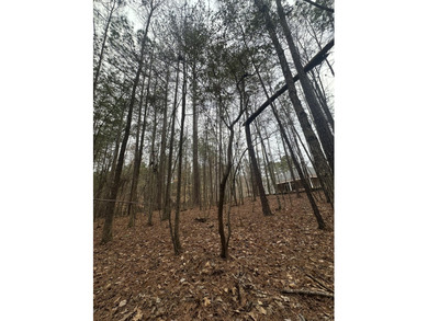 Very Flat and Level Lot in the Shenandoah Section of the on Monticello Golf Club At Savannah Lakes in South Carolina - for sale on GolfHomes.com, golf home, golf lot