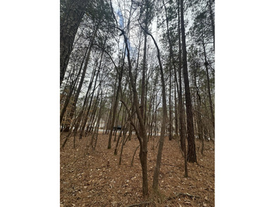 Very Flat and Level Lot in the Shenandoah Section of the on Monticello Golf Club At Savannah Lakes in South Carolina - for sale on GolfHomes.com, golf home, golf lot