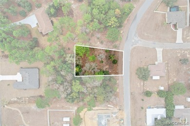 Prime lot with public water connection available and minimal on Pine Ridge Community Golf and Country Club in Florida - for sale on GolfHomes.com, golf home, golf lot