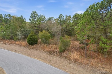 Prime lot with public water connection available and minimal on Pine Ridge Community Golf and Country Club in Florida - for sale on GolfHomes.com, golf home, golf lot
