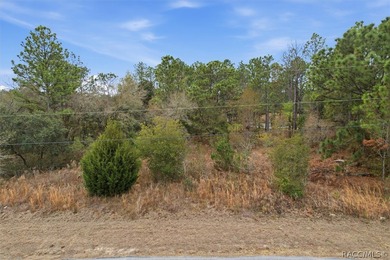 Prime lot with public water connection available and minimal on Pine Ridge Community Golf and Country Club in Florida - for sale on GolfHomes.com, golf home, golf lot