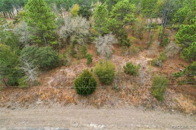 Prime lot with public water connection available and minimal on Pine Ridge Community Golf and Country Club in Florida - for sale on GolfHomes.com, golf home, golf lot