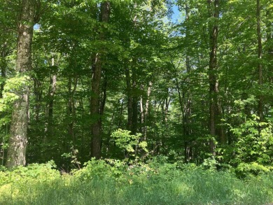 Affordable Single Lot with favorable soil tests for a 3-bedroom on Hermitage Club Golf Course in Vermont - for sale on GolfHomes.com, golf home, golf lot
