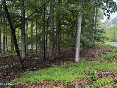 PERCED and ready to build, this .49-acre lot is nestled in the on Paupack Hills Golf and Country Club in Pennsylvania - for sale on GolfHomes.com, golf home, golf lot