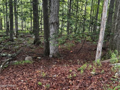 PERCED and ready to build, this .49-acre lot is nestled in the on Paupack Hills Golf and Country Club in Pennsylvania - for sale on GolfHomes.com, golf home, golf lot