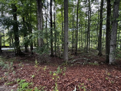 PERCED and ready to build, this .49-acre lot is nestled in the on Paupack Hills Golf and Country Club in Pennsylvania - for sale on GolfHomes.com, golf home, golf lot