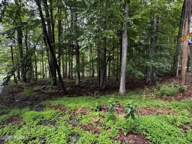 PERCED and ready to build, this .49-acre lot is nestled in the on Paupack Hills Golf and Country Club in Pennsylvania - for sale on GolfHomes.com, golf home, golf lot