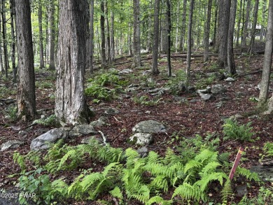 PERCED and ready to build, this .49-acre lot is nestled in the on Paupack Hills Golf and Country Club in Pennsylvania - for sale on GolfHomes.com, golf home, golf lot