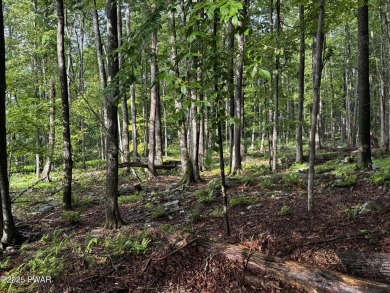 PERCED and ready to build, this .49-acre lot is nestled in the on Paupack Hills Golf and Country Club in Pennsylvania - for sale on GolfHomes.com, golf home, golf lot