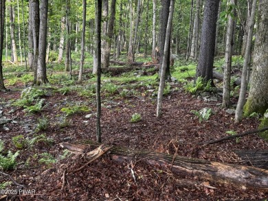 PERCED and ready to build, this .49-acre lot is nestled in the on Paupack Hills Golf and Country Club in Pennsylvania - for sale on GolfHomes.com, golf home, golf lot