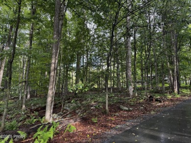 PERCED and ready to build, this .49-acre lot is nestled in the on Paupack Hills Golf and Country Club in Pennsylvania - for sale on GolfHomes.com, golf home, golf lot