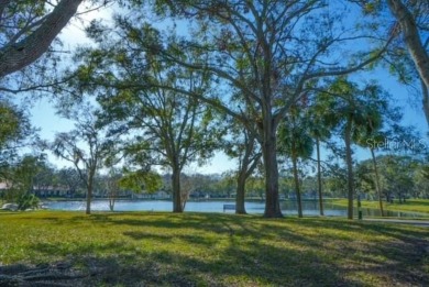 Move in ready and recently updated two bedroom, two bathroom on Lansbrook Golf Club in Florida - for sale on GolfHomes.com, golf home, golf lot