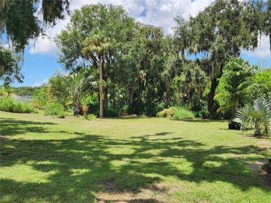 LUCKY YOU! THIS BEAUTY IS BACK ON THE MARKET - BUYER'S FINANCING on Imperial Lakewoods Golf Club in Florida - for sale on GolfHomes.com, golf home, golf lot