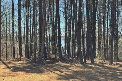 Life is better by the water! Your journey to owning a brand new on Turtle Cove Golf Course in Georgia - for sale on GolfHomes.com, golf home, golf lot