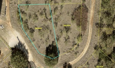 Discover this .33-acre lot near Lake Brownwood and The Hideout on Hideout Golf Club and Resort  in Texas - for sale on GolfHomes.com, golf home, golf lot