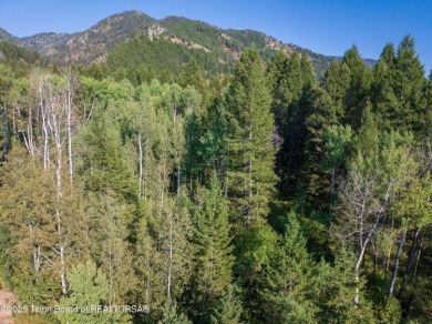 Rare opportunity to own FOUR adjacent lots in a very private on Star Valley RV Golf Course in Wyoming - for sale on GolfHomes.com, golf home, golf lot