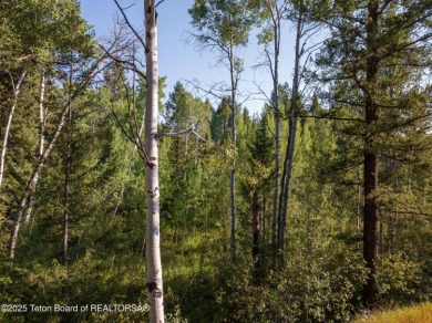 Rare opportunity to own FOUR adjacent lots in a very private on Star Valley RV Golf Course in Wyoming - for sale on GolfHomes.com, golf home, golf lot