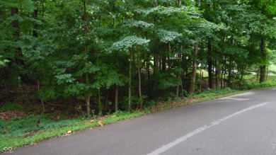Scenic .68-Acre Wooded Lot in Foxcliff Estates North  Build your on Foxcliff Golf Club in Indiana - for sale on GolfHomes.com, golf home, golf lot