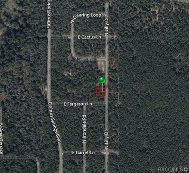 Picturesque homesite in Citrus Springs offering an incredible on Citrus Springs Country Club in Florida - for sale on GolfHomes.com, golf home, golf lot