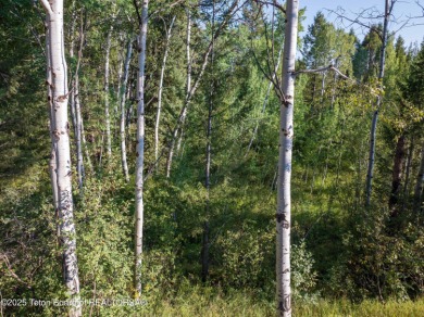Rare opportunity to own FOUR adjacent lots in a very private on Star Valley RV Golf Course in Wyoming - for sale on GolfHomes.com, golf home, golf lot