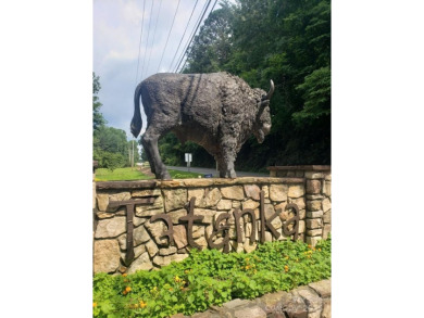 Build your Dream Home on this Beautiful Mountain View Property on Rumbling Bald Resort on Lake Lure in North Carolina - for sale on GolfHomes.com, golf home, golf lot