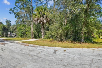 Tucked away on a VERY PRIVATE and SECLUDED .55-acre corner lot on El Diablo Golf and Country Club in Florida - for sale on GolfHomes.com, golf home, golf lot