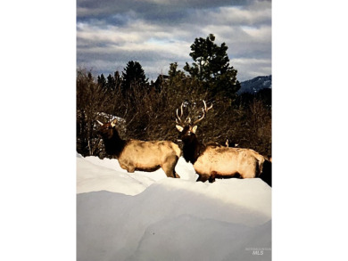 This rare 2 acre parcel sits in the heart of Garden Valley on Terrace Lakes Golf Resort in Idaho - for sale on GolfHomes.com, golf home, golf lot