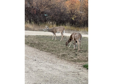 This rare 2 acre parcel sits in the heart of Garden Valley on Terrace Lakes Golf Resort in Idaho - for sale on GolfHomes.com, golf home, golf lot