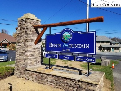Stylishly Rustic cabin totally renovated in 2019. Great Room on Beech Mountain Club in North Carolina - for sale on GolfHomes.com, golf home, golf lot