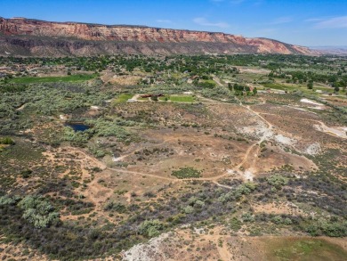 Visionaries, builders, and dreamers - this is your moment! on Tiara Rado Golf Course in Colorado - for sale on GolfHomes.com, golf home, golf lot