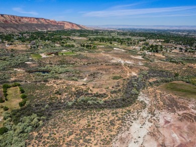 Visionaries, builders, and dreamers - this is your moment! on Tiara Rado Golf Course in Colorado - for sale on GolfHomes.com, golf home, golf lot