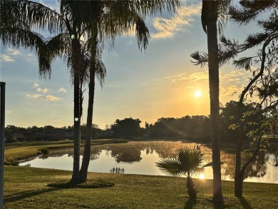 GOLF COURSE LIFESTYLE! Discover unparalleled living in this on The Eagles Golf Course and Club in Florida - for sale on GolfHomes.com, golf home, golf lot