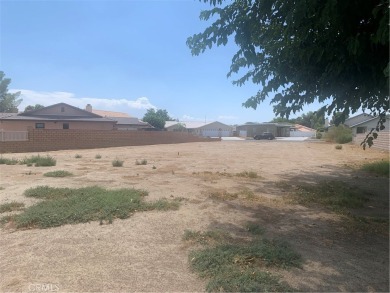 15224 Little Bow Ln in Helendale, CA, offers an exceptional 8 on Silver Lakes Golf Course in California - for sale on GolfHomes.com, golf home, golf lot