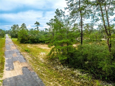 Discover the perfect opportunity to design your ideal Florida on Pine Ridge Community Golf and Country Club in Florida - for sale on GolfHomes.com, golf home, golf lot