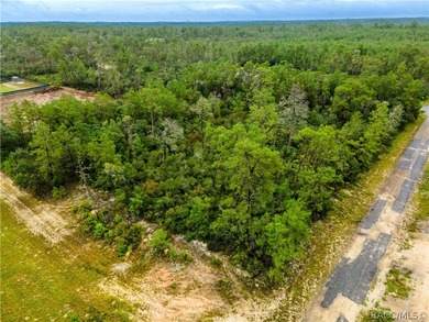 Discover the perfect opportunity to design your ideal Florida on Pine Ridge Community Golf and Country Club in Florida - for sale on GolfHomes.com, golf home, golf lot