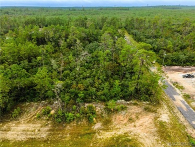 Discover the perfect opportunity to design your ideal Florida on Pine Ridge Community Golf and Country Club in Florida - for sale on GolfHomes.com, golf home, golf lot